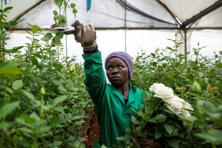 Flower workers are already deeply worried about their future. The industry indirectly supports four million people