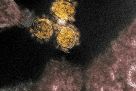 The fast-spreading COVID-19 coronavirus is believed to be more dangerous for older adults, though increasingly it appears to be also sending younger patients to hospital as well