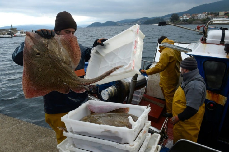 Most of the boats in the Mediterranean have stopped fishing