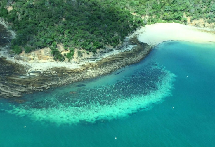 This undated handout photo received on April 6, 2020 from the ARC Centre of Excellence for Coral Reef Studies at James Cook University shows an aerial survey of coral bleaching on the Great Barrier Reef