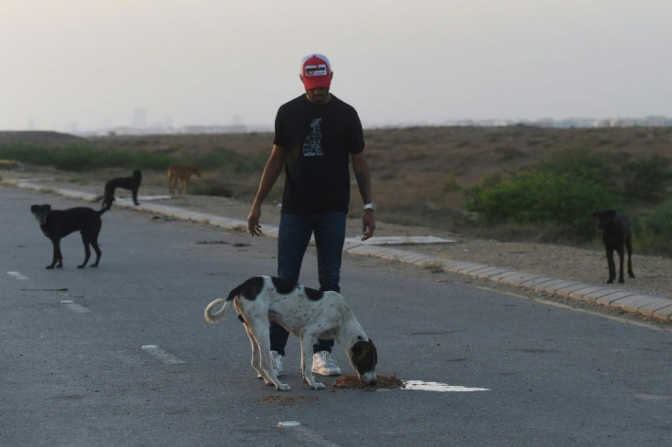 Many animals have been abandoned since Pakistan went into lockdown to stem the spread of the coronavirus