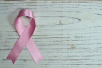 high fiber diet reduces risk of breast cancer