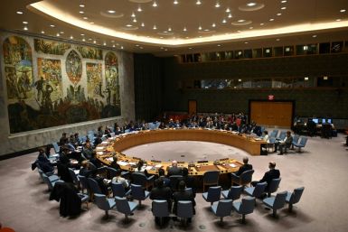 A view of a UN Security Council meeting in February 2020 before the coronavirus crisis forced such meetings to be held via videoconference