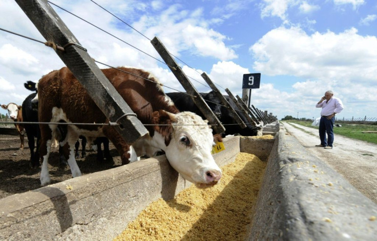 Argentine farmers are still able to operate despite the coronavirus pandemic but they are finding it increasingly difficult to export their produce