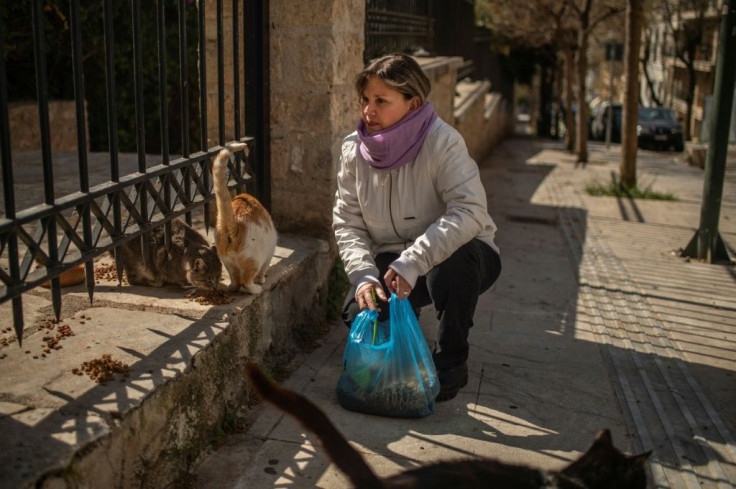 Pets are not entirely safe even at home