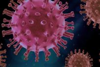 coronavirus pandemic new guidelines issued by cdc