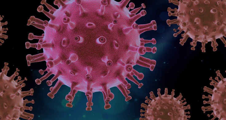 coronavirus pandemic new guidelines issued by cdc
