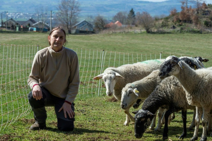 French lamb breeder Michelle Baudoin said her sheep are getting fat and losing value