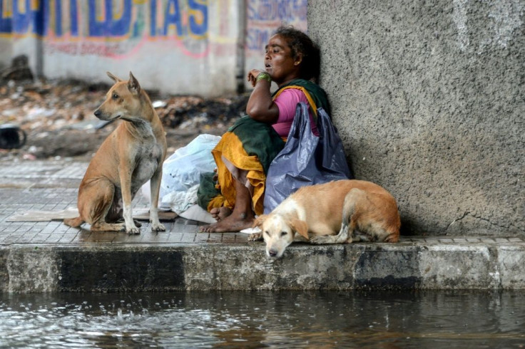 A homeless woman and stray dogs sit beneath a bridge in Chennai as it rains during a government-imposed nationwide lockdown in India