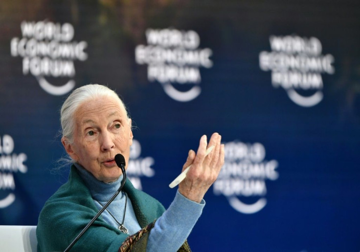 World-renowned primatologist Jane Goodall pleaded pleaded for humanity to learn from past mistakes
