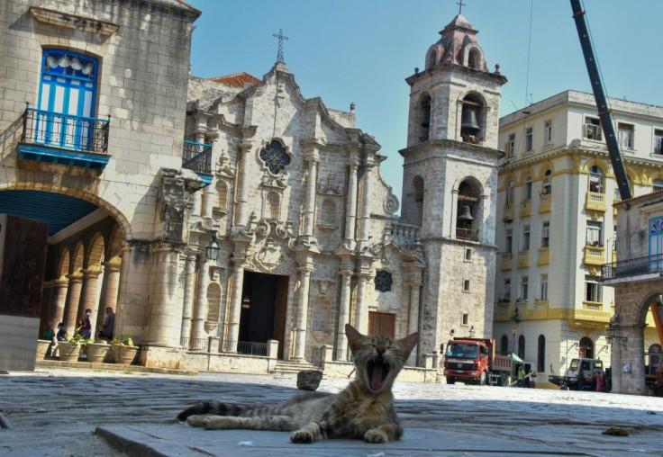 A cat yawns on a deserted Cathedral Square in Havana on Easter Sunday that would normally be teeming with tourists