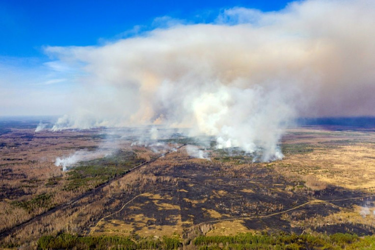 Police said a man burning dry grass started the fire near the exclusion zone around the ruined reactor