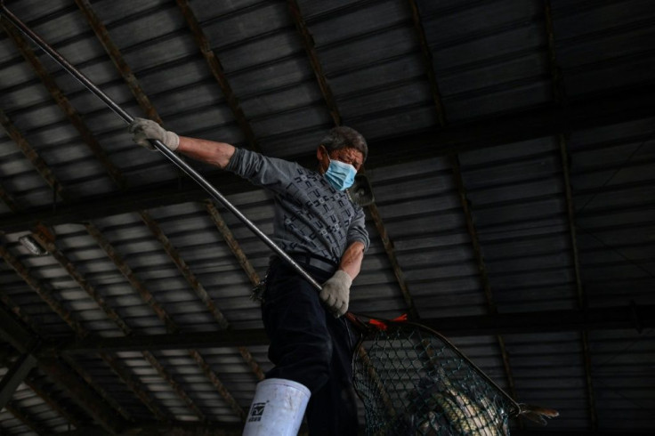 Workers must disinfect their stalls regularly and facemasks are now commonplace