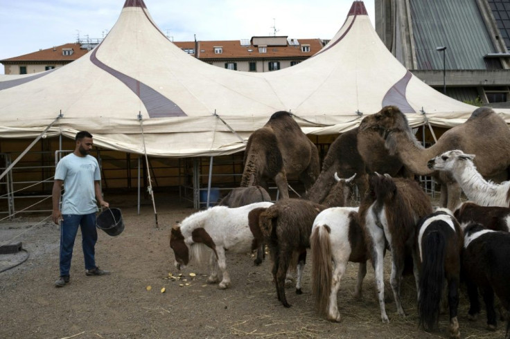 A member of the "Circo Millennium" feeds the animals with the little food available in Savona, northwestern Italy, during a strict coronavirus lockdown. The troupe relies on local associations and animal lovers to feed its beasts.