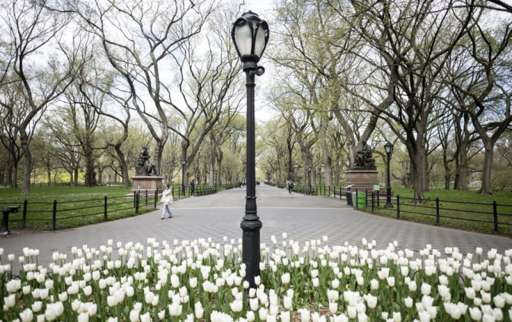 Spring is blooming in Central Park, but not many are around to see it due to New York's coronavirus lockdown