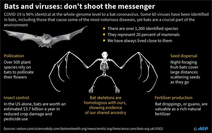 Bats and viruses: don't shoot the messenger