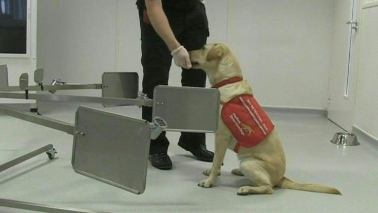 A British charity has teamed up with scientists to see whether dogs could help detect COVID-19 through their keen sense of smell, they said on Friday. Medical Detection Dogs will work with the London School of Hygiene and Tropical Medicine (LSHTM) and Dur