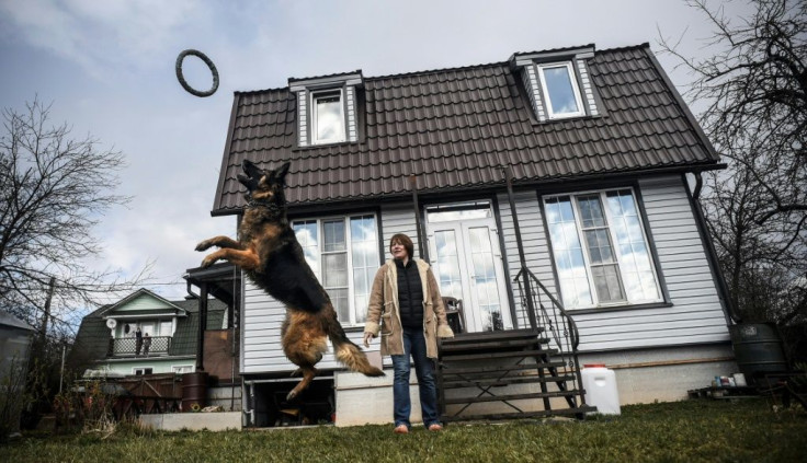 Generations of Muscovites have spent their weekends and summer breaks in dacha settlements, usually an hour or two outside the city