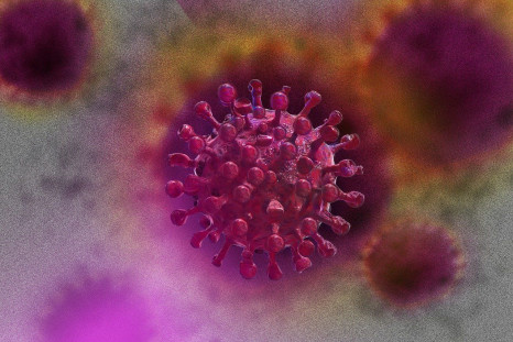 coronavirus infection process and human cell targeting identified by MIT scientists