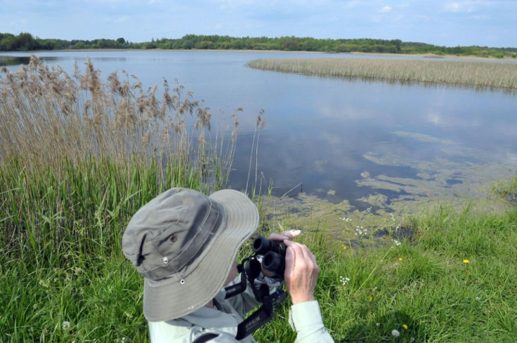 The Biebrza National Park features some of Europe's best preserved wetlands and is home to moose, beavers, wolves and unique birdsÂ 