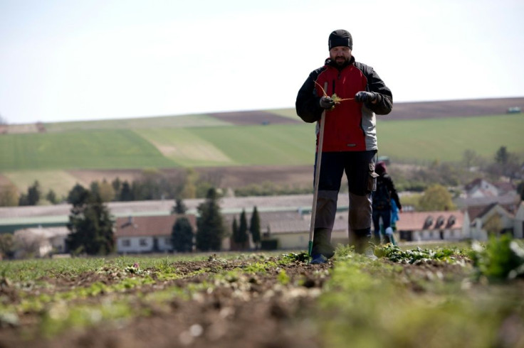 Austria's farms have suddenly found themselves short of foreign labour due to the coronavirus pandemic