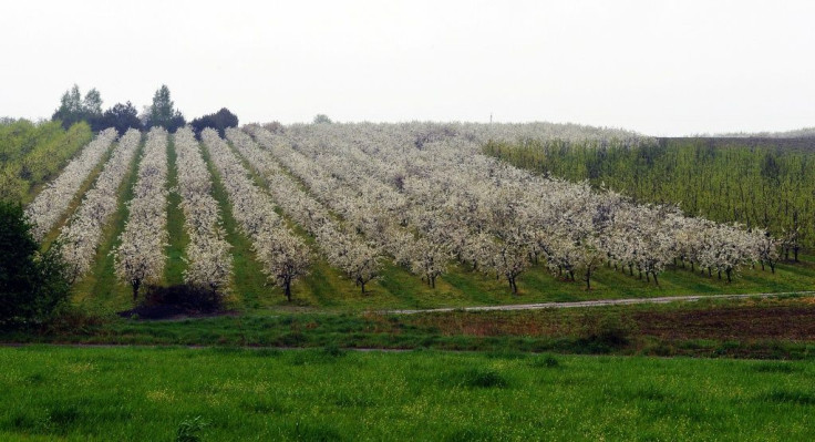 Poland's farming sector is on high alert