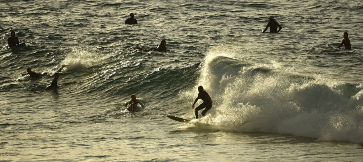 Many swimmers and surfers cheered council workers as they moved fences aside at Bondi Beach to allow them through