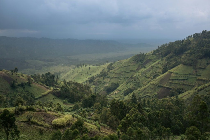 Visits to Virunga have been suspended since March 19 in DR Congo's bid to halt the new coronavirus pandemic