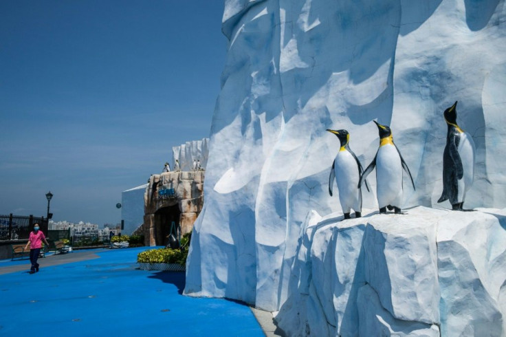 Usually the penguins at Hong Kong's Ocean Park draw large crowds, but it is shut because of the coronavirus pandemic