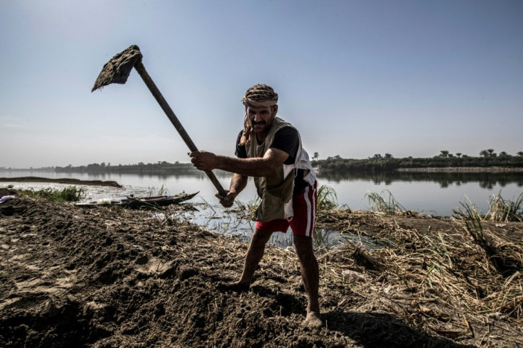 Agriculture, like construction and the vast informal economy, have weathered the crisis better than the tourism or retail sectors