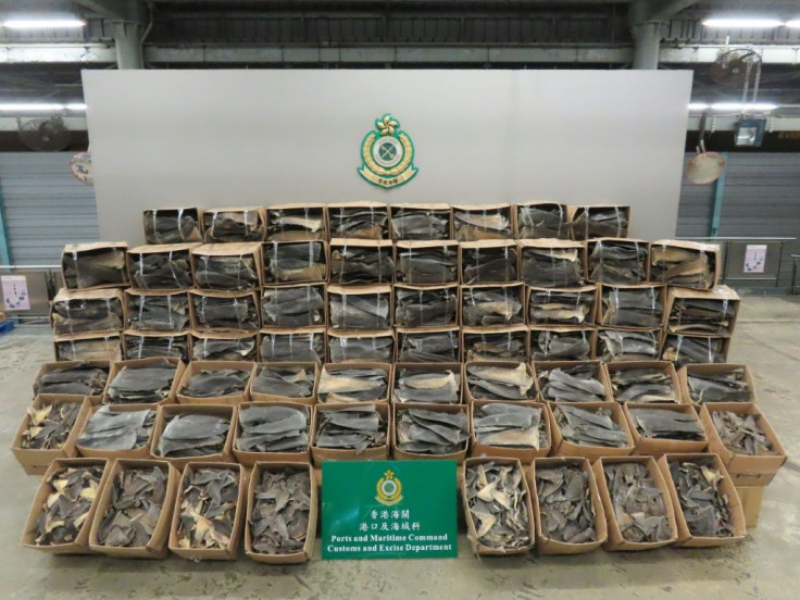 A record 26 tonnes of shark fin were seized by customs officers in Hong Kong