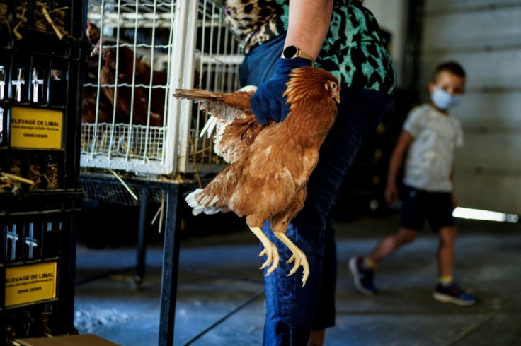 Chicken sales in Belgium have gone 'crazy' during the lockdown