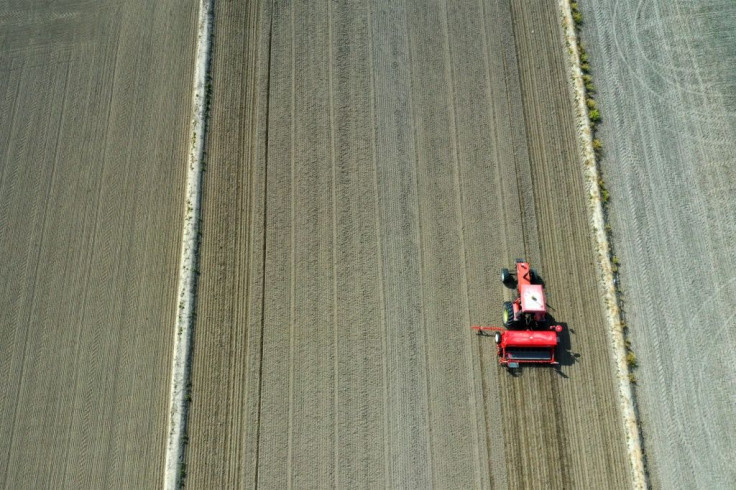 Even if production pales compared with Asian output, Italy produces a respectable 1.5 million tonnes annually, mostly in three northern provinces