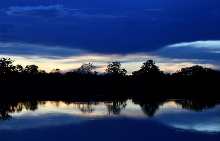 Researchers say the urbanization of once-wild areas like the Amazon contributes to the emergence of diseases that pass from animals to humans