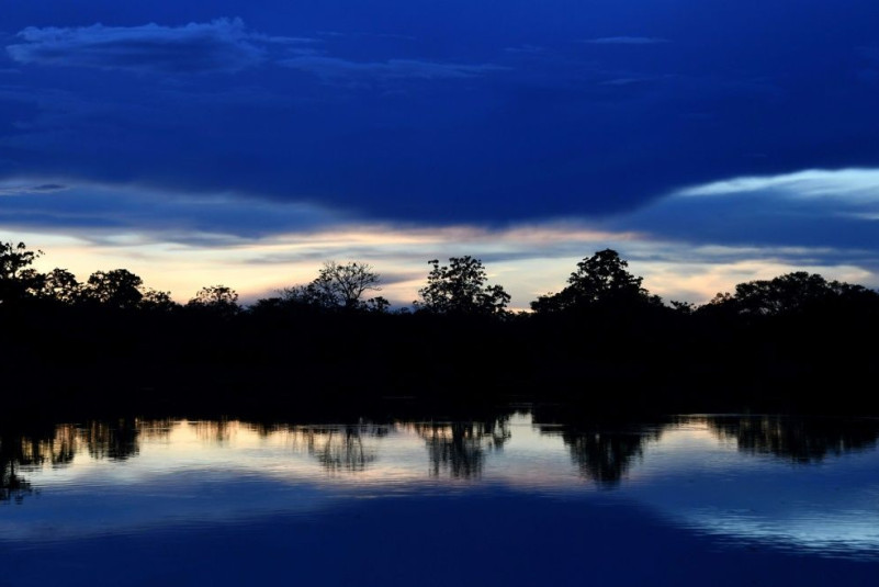 Researchers say the urbanization of once-wild areas like the Amazon contributes to the emergence of diseases that pass from animals to humans