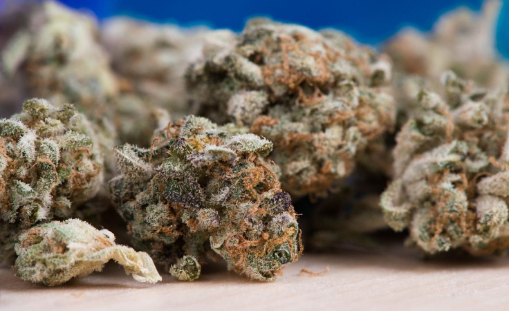 cannabis users have higher risk of fungal infection