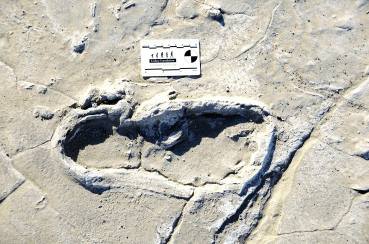 A human footprint dated to between 19,100 and 5,760 years ago at the Engare Sero site, south of Tanzania's Lake Natron