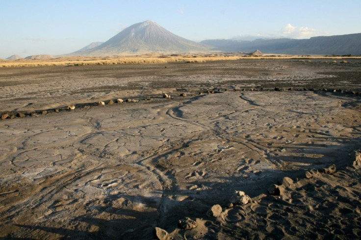 The largest group of human footprints ever found in Africa - discovered at a site called Engare Sero, south of Tanzania's Lake Natron - offers a glimpse at what humans in the so-called Late Pleistocene period looked like