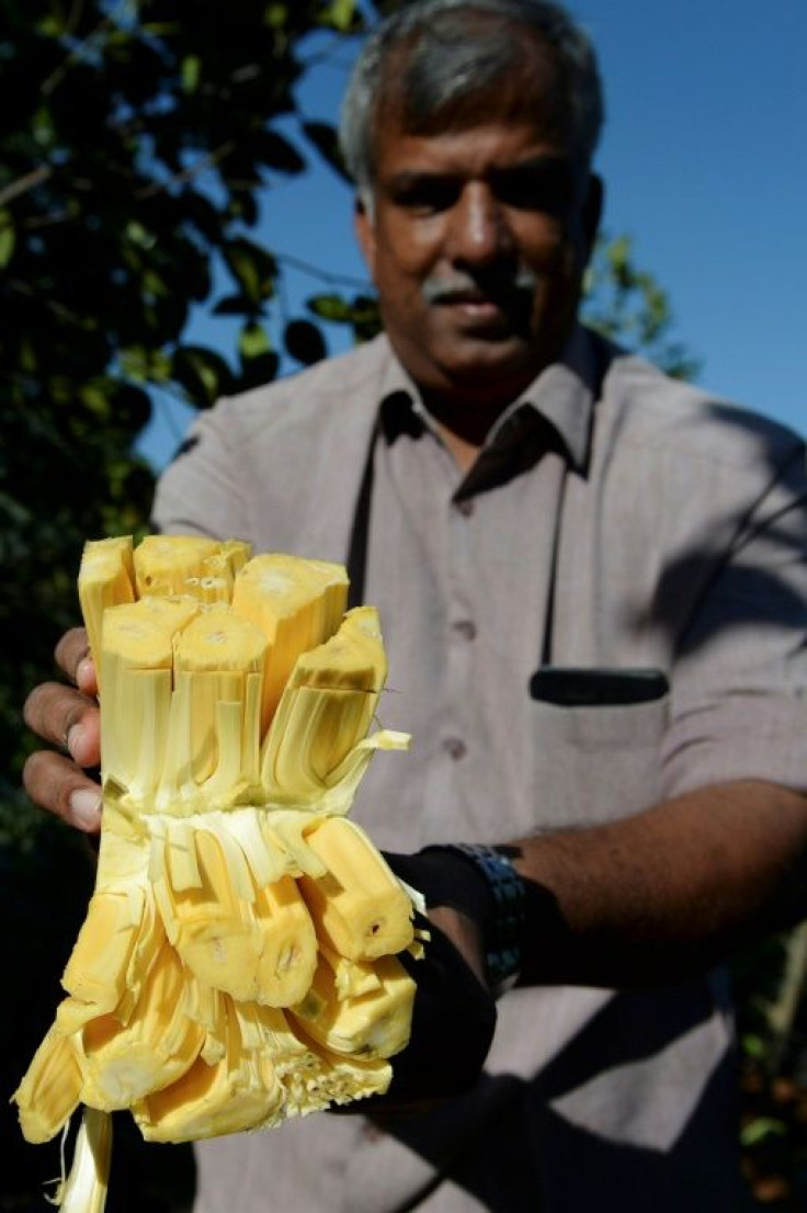 Varghese Tharakkan switched from selling rubber to jackfruit and has seen business boom