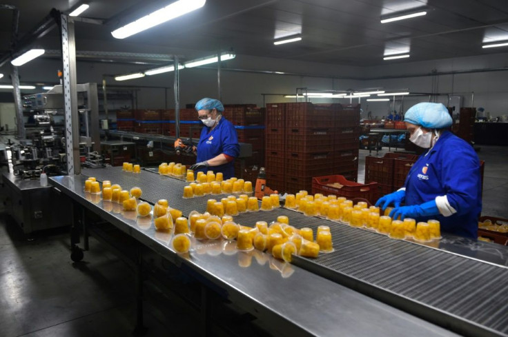 Albanian farm workers are key to Greece's peach production