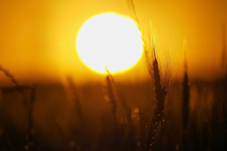 Several statistical studies have shown a slight correlation between climate and the novel coronavirus -- the hotter and more humid it is, the less likely the virus is to spread -- but the findings remain preliminary