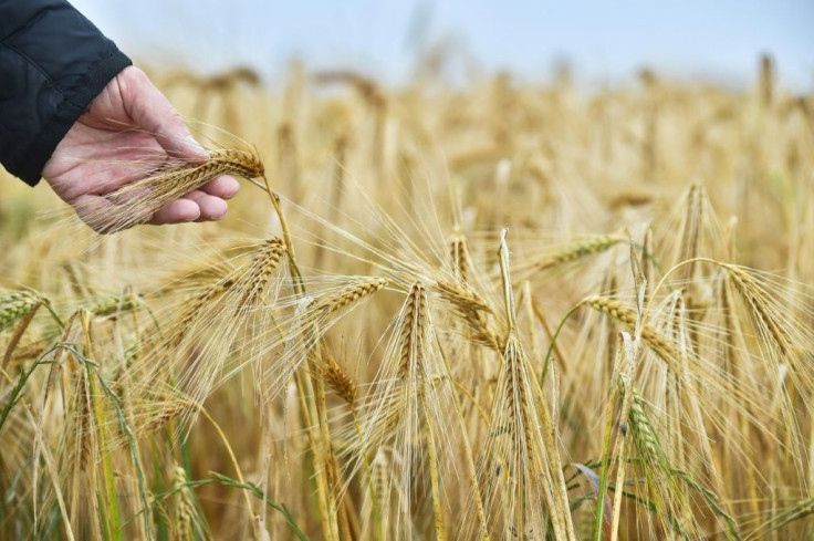 Officials played down fears Australia was headed for a trade war with China, its biggest export market for barley