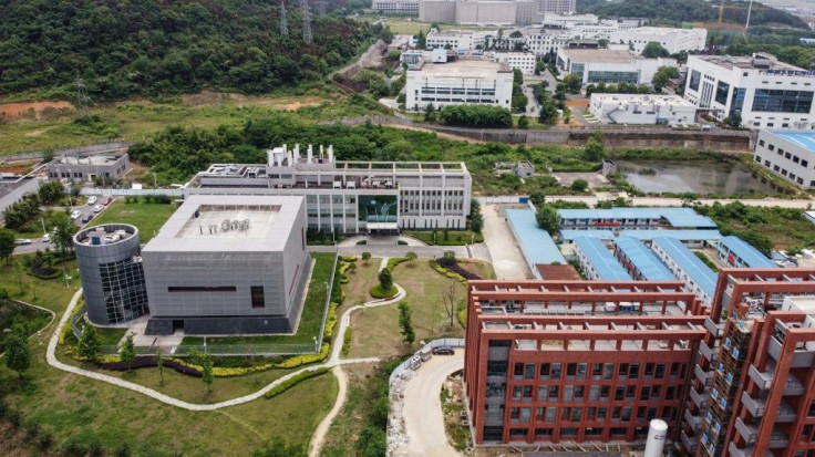 The director of the Wuhan Institute of Virology told a Chinese state broadcaster that the lab has three live strains of bat coronavirus on-site, but that claims the coronavirus could have leaked from the facility were 'pure fabrication'