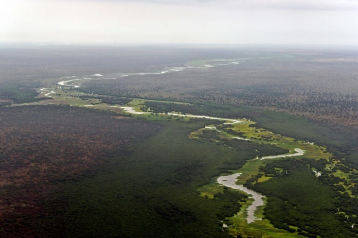 Protecting the country's wildlife isn't a burning priority for the fragile state but the government is aware of the benefits it could bring