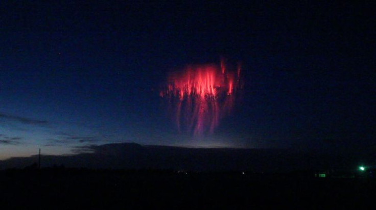 Jellyfish Sprite