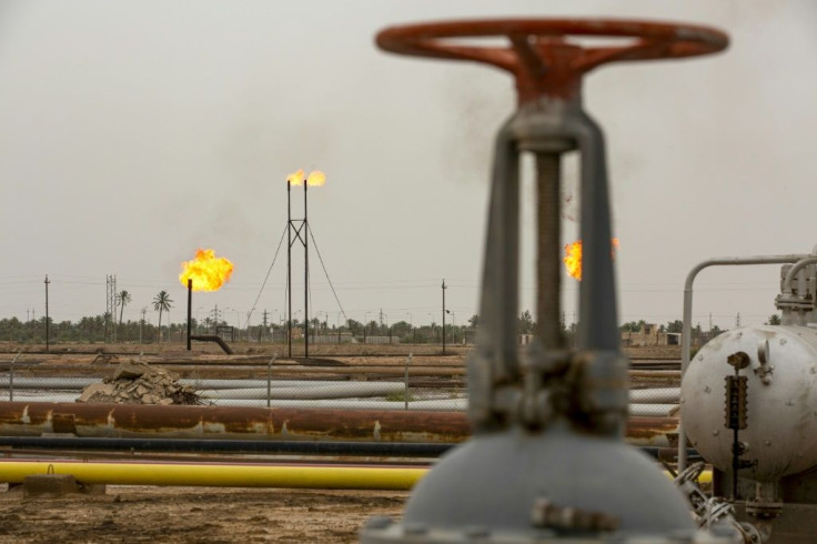 Experts have long warned that oil-rich Iraq must diversify its economy to insulate it from the swings of the energy market