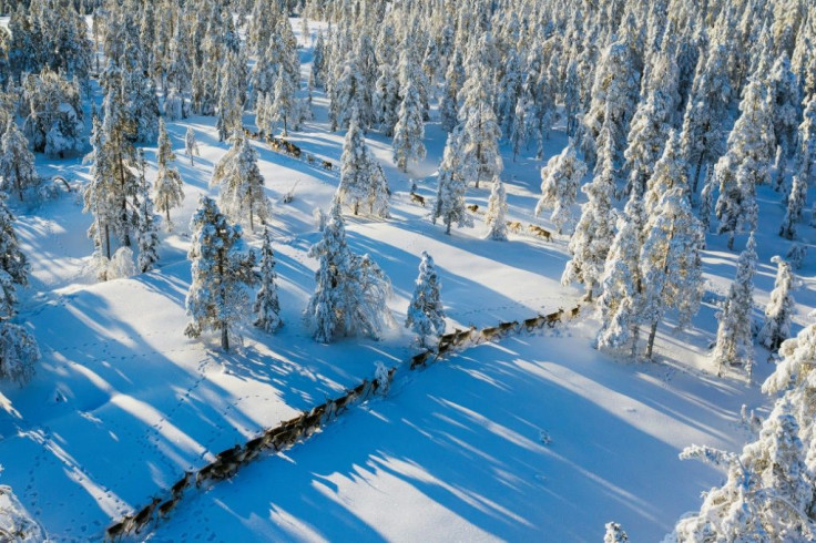 Reindeer herders in Sweden's indigenous Sami community say they are having to adapt to fluctuating weather temperatures