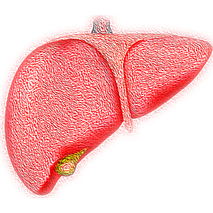 fatty liver disease