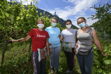 Italy's coronavirus lockdown has prevented many foreign workers from coming to help harvest fruit and vegetables