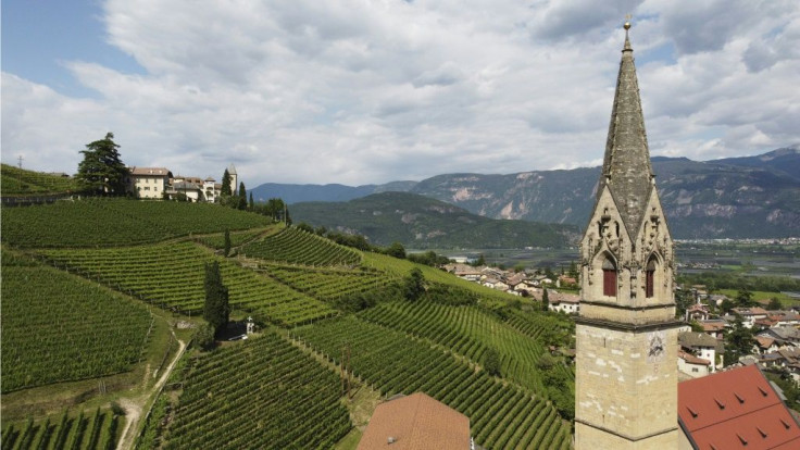 Hofstaetter's vineyard is situation in the picturesque town of Termeno